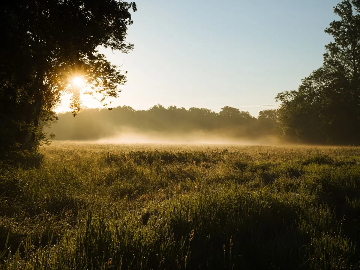 Golden Hour vs Blue Hour: When to Shoot Misty Landscapes