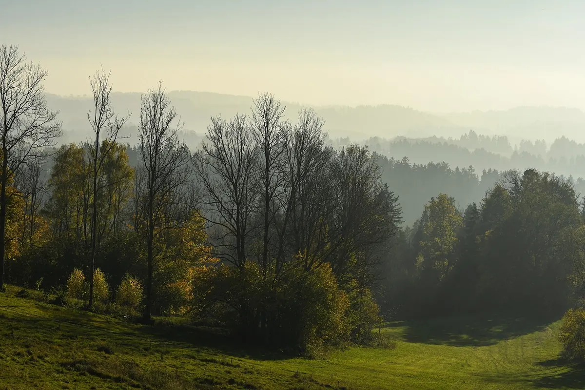 Mist vs Fog vs Haze: A Landscape Photographer's Explainer